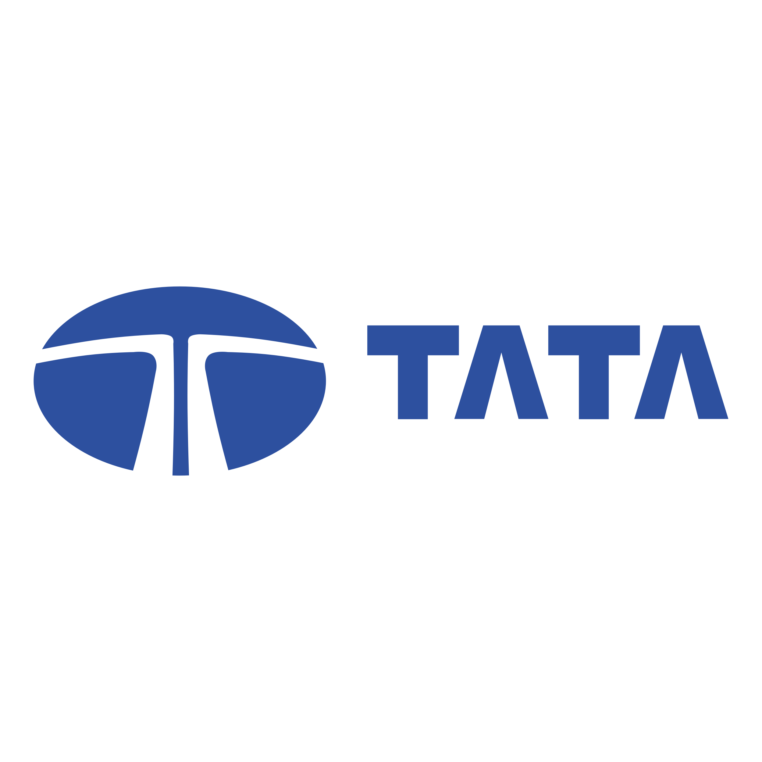 Tata Communication Ltd picture